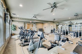 Fitness Center With Modern Equipment at The Sanctuary of Lake Villa, Illinois, 60046